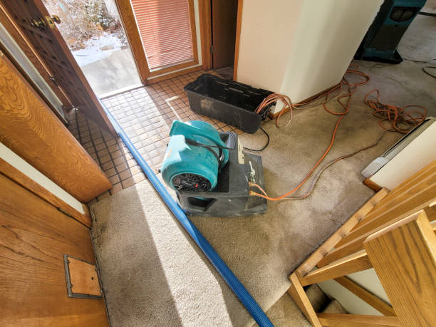 Best Water damage restoration near me  in Ingram, PA