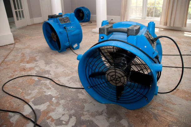 Best Local water damage restoration  in Ingram, PA