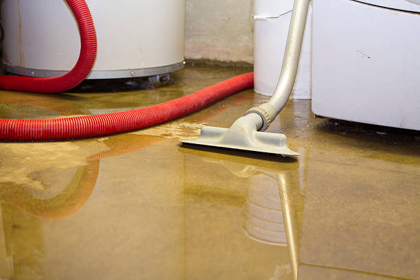 Best Water damage cleanup near me  in Ingram, PA