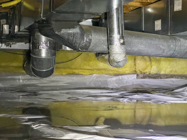 Best Water damage restoration near me  in Ingram, PA