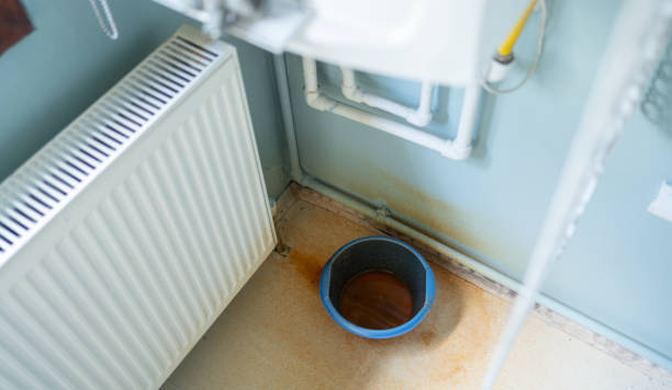 Best Water damage mitigation services  in Ingram, PA